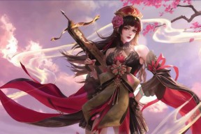 三国杀为何不能进行游戏？可能的原因有哪些？