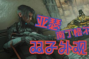 星际战甲双子外观的安装步骤是什么？