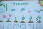 万物生长（探索生命的奥秘）