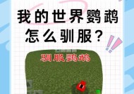 我的世界有哪些好玩的东西？如何发现新乐趣？
