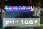 布景鱼缸在魔兽世界中如何获得？
