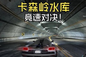 极品飞车14（走进黑白世界）