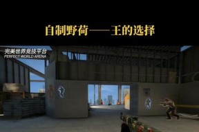 完美世界卡黑屏问题如何解决？