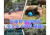 玩转动物园游戏攻略——打造最完美的动物乐园（掌握游戏技巧）