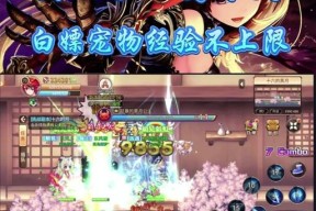 彩虹岛中如何查看经验加成？