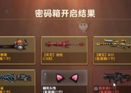 反恐精英online中芯片如何佩戴？佩戴方法是什么？