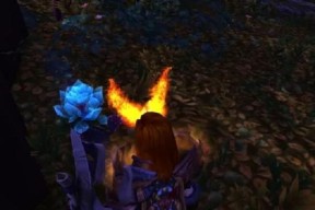 魔兽世界中送玫瑰的正确方式是什么？