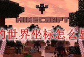 如何在Minecraft电脑版中查看坐标？