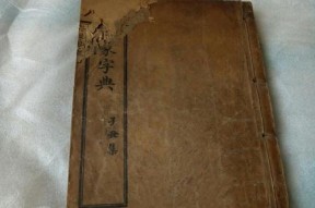 探秘《以幻书启世录康熙字典》（以游戏化学习感受康熙字典的强大力量）