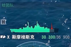 战舰世界中如何设置战舰姿态显示？姿态显示的作用是什么？
