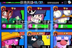 荒野乱斗（以游戏为主题）