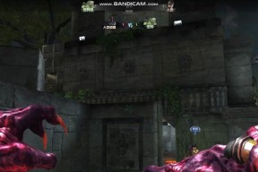 生化危机8钱袋怎么拿？获取钱袋的有效方法是什么？