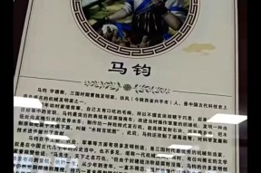 三国杀中马钧为何不被玩家选择交换？马钧的技能有何不足？
