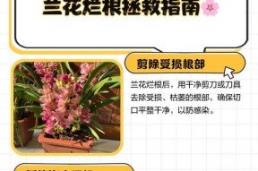 我的世界中兰花如何催生？催生兰花的有效方法有哪些？