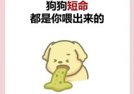 在《我的世界》中狗狗中毒了怎么解救？