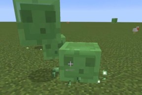 我的世界中粘液球的获取方法是什么？