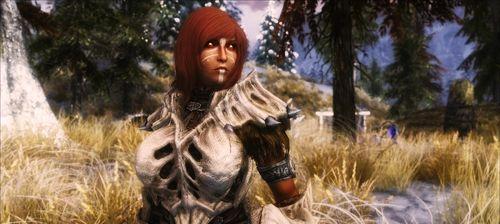 上古卷轴5（探索Skyrim的公会玩法）  第1张