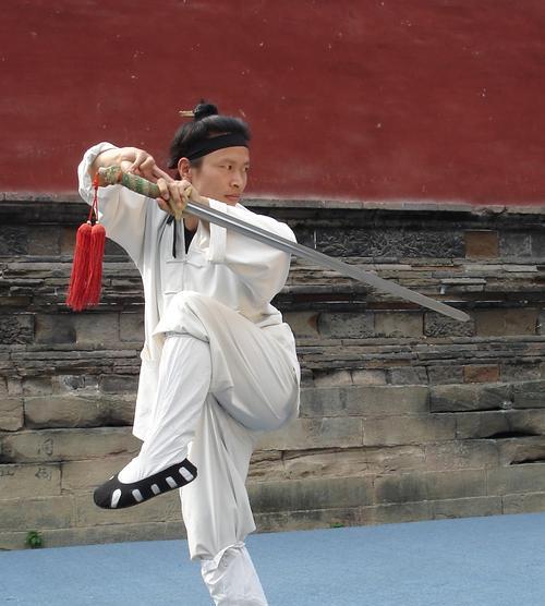 《剑荡八荒之武当职业详解》（武当技能及加点介绍）  第2张