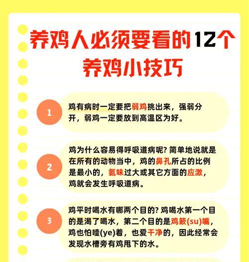dnf小鸡成长的方法是什么？如何快速让小鸡长大？  第3张