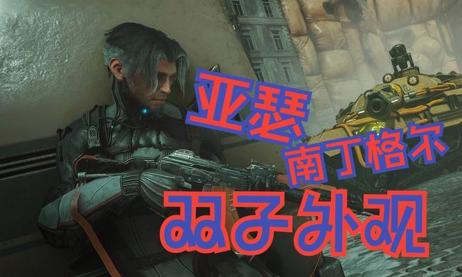 星际战甲双子外观的安装步骤是什么？  第1张