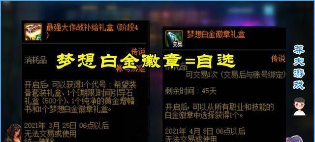 地下城惩戒者白金徽章的选择技巧是什么？  第2张