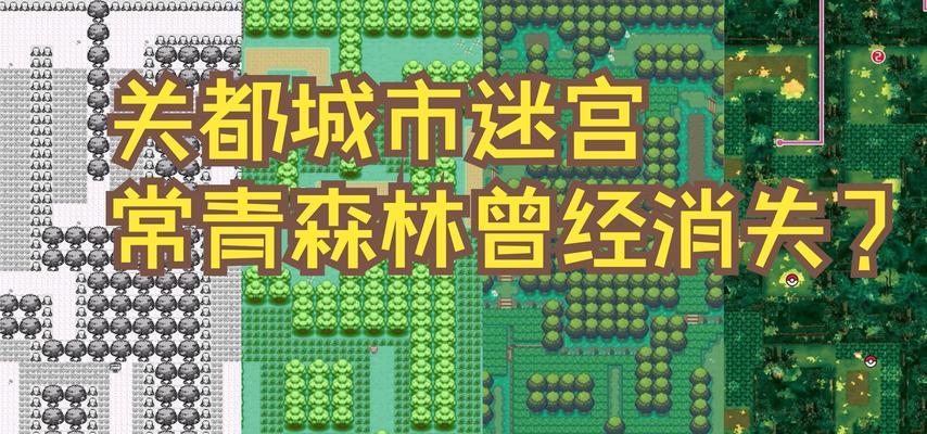 口袋妖怪森林迷宫怎么走？迷宫中有哪些隐藏的秘密？  第1张