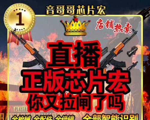 绝地求生大哥芯片获取方法是什么？如何快速获得？  第3张