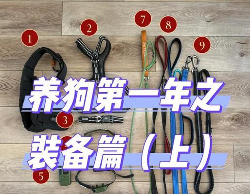 训犬套装在绝地求生中如何获得？  第1张