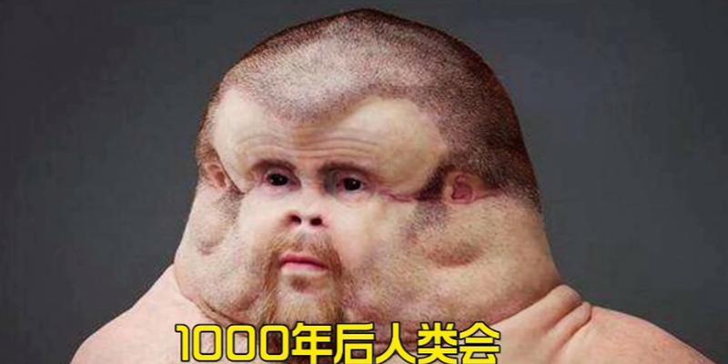 进化后的样貌如何查看？  第2张