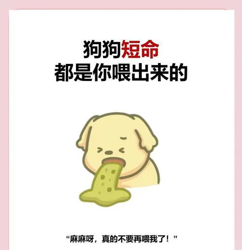 在《我的世界》中狗狗中毒了怎么解救？  第1张