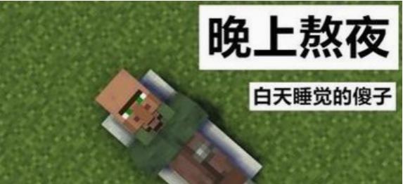 我的世界中傻子角色是如何产生的？  第2张