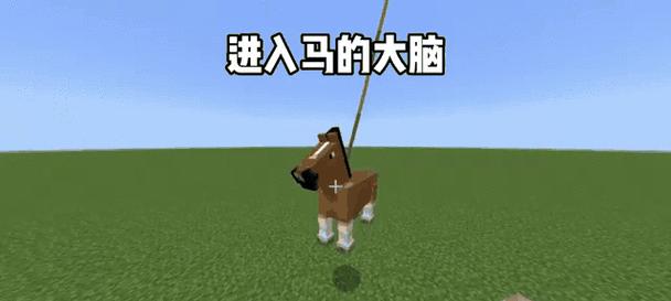 我的世界马匹补血方法是什么？如何保持马匹健康？  第1张