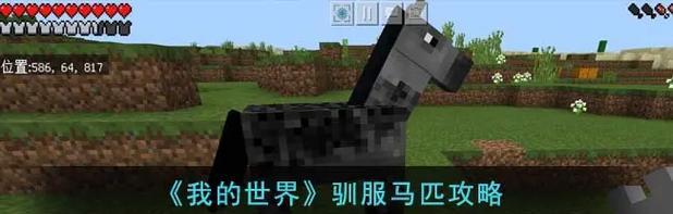 我的世界马匹补血方法是什么？如何保持马匹健康？  第2张