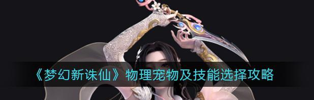 梦幻新诛仙小灰的技能解析与运用攻略（探索梦幻世界）  第2张